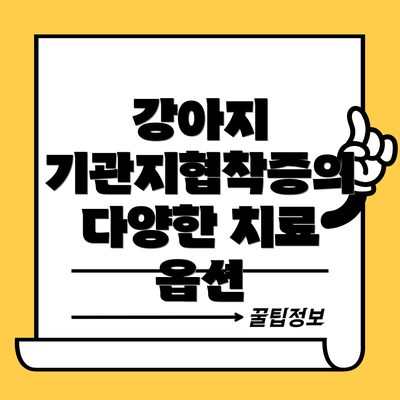 강아지 기관지협착증의 다양한 치료 옵션