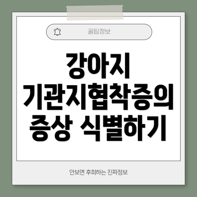 강아지 기관지협착증의 증상 식별하기