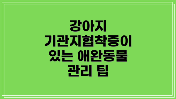 강아지 기관지협착증이 있는 애완동물 관리 팁
