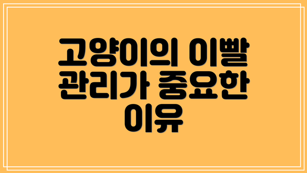 고양이의 이빨 관리가 중요한 이유