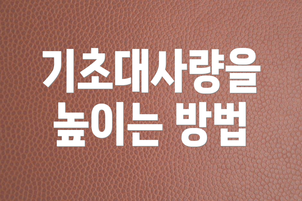 기초대사량을 높이는 방법