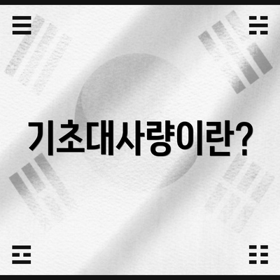 기초대사량이란?