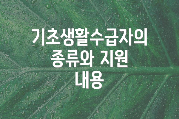 기초생활수급자의 종류와 지원 내용