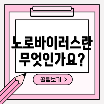 노로바이러스란 무엇인가요?