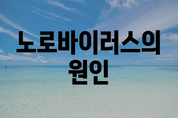 노로바이러스의 원인
