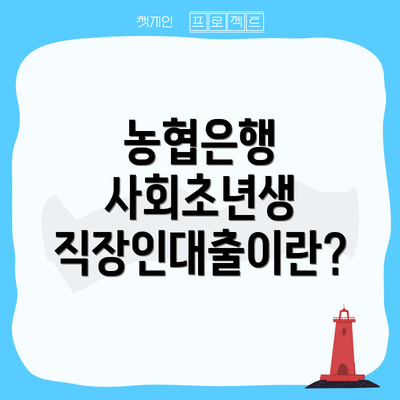농협은행 사회초년생 직장인대출이란?