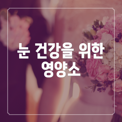 눈 건강을 위한 영양소