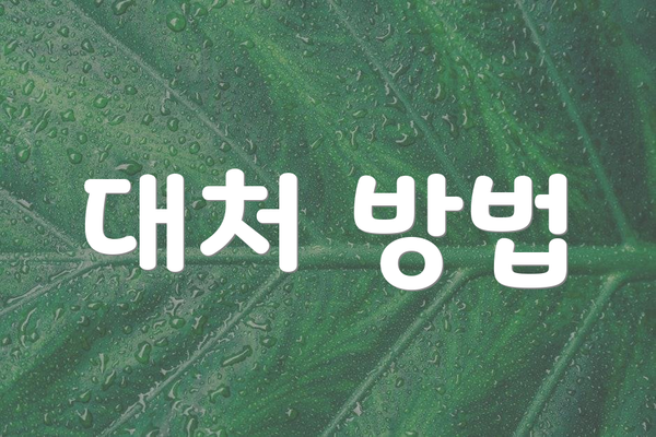 대처 방법