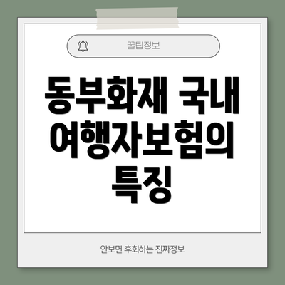 동부화재 국내 여행자보험의 특징