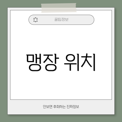 맹장 위치