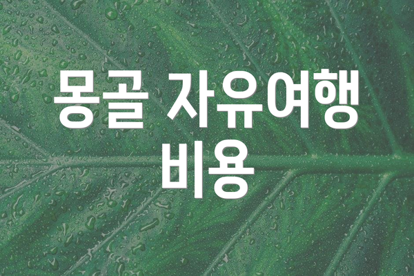 몽골 자유여행 비용
