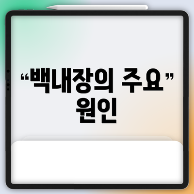 백내장의 주요 원인