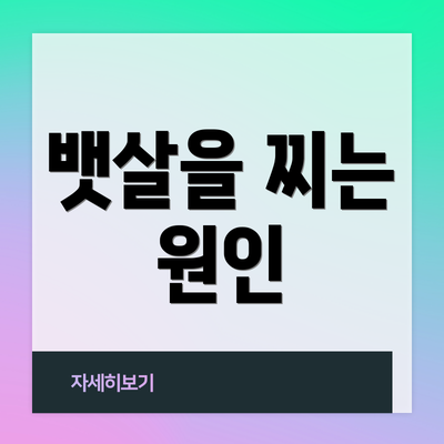 뱃살을 찌는 원인