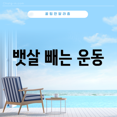 뱃살 빼는 운동