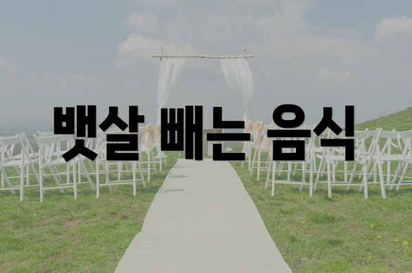 뱃살 빼는 음식