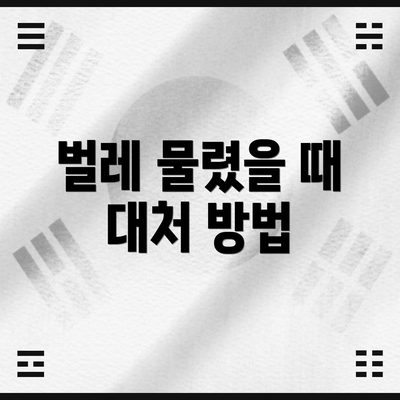 벌레 물렸을 때 대처 방법