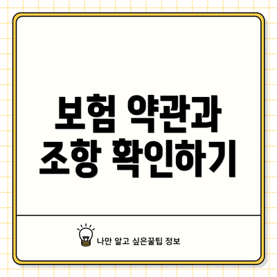 보험 약관과 조항 확인하기