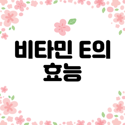 비타민 E의 효능