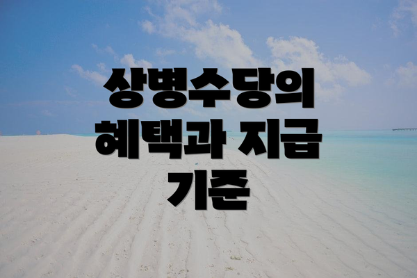 상병수당의 혜택과 지급 기준