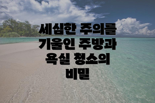 세심한 주의를 기울인 주방과 욕실 청소의 비밀