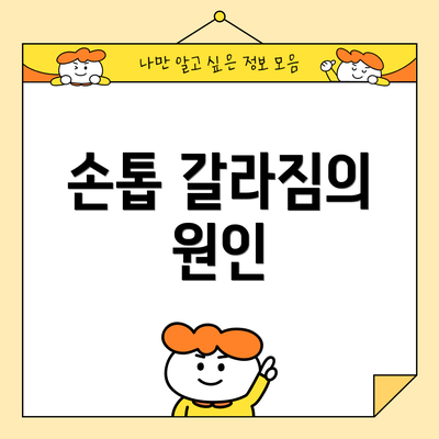손톱 갈라짐의 원인