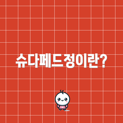 슈다페드정이란?