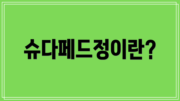 슈다페드정이란?