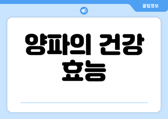 양파의 건강 효능