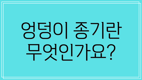 엉덩이 종기란 무엇인가요?