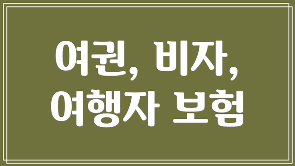 여권, 비자, 여행자 보험