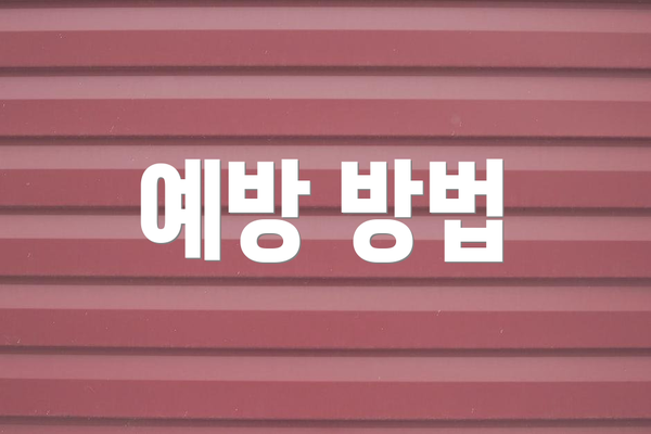예방 방법
