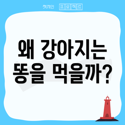 왜 강아지는 똥을 먹을까?