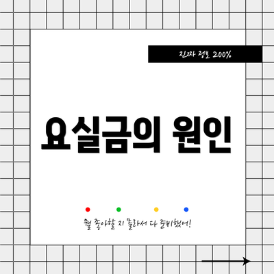 요실금의 원인