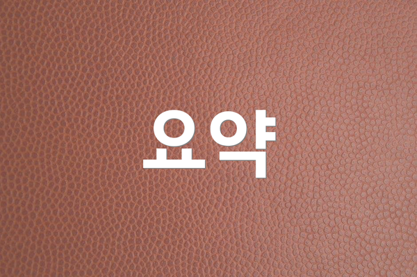 요약