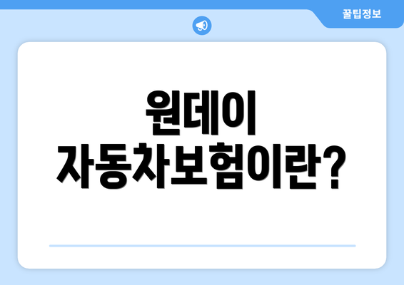 원데이 자동차보험이란?
