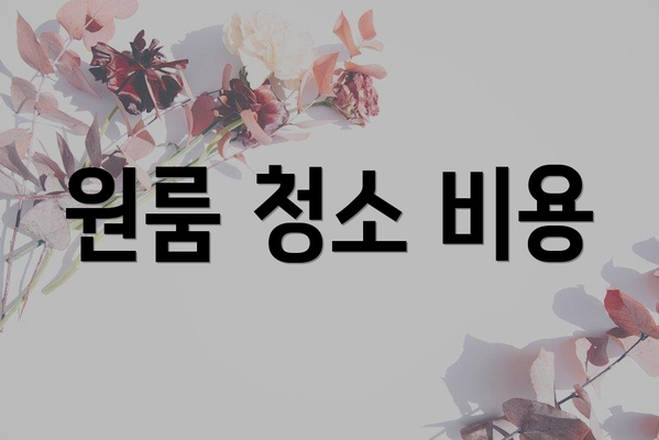 원룸 청소 비용