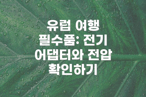유럽 여행 필수품: 전기 어댑터와 전압 확인하기