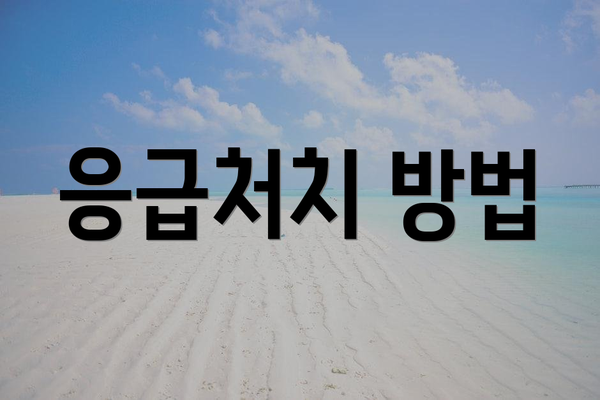 응급처치 방법