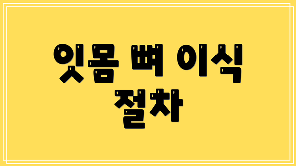 잇몸 뼈 이식 절차