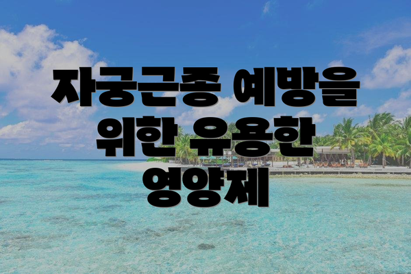 자궁근종 예방을 위한 유용한 영양제