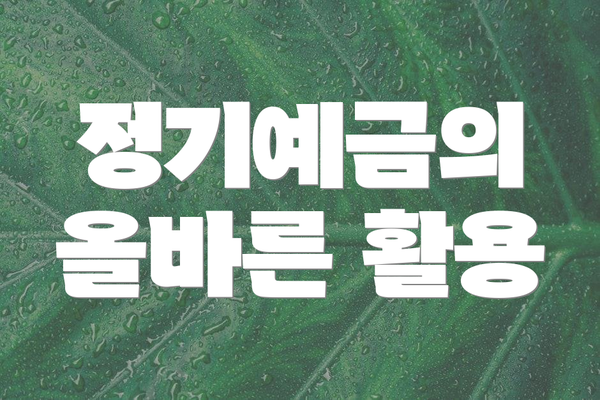 정기예금의 올바른 활용