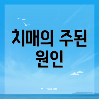 치매의 주된 원인