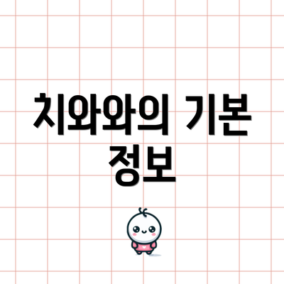 치와와의 기본 정보