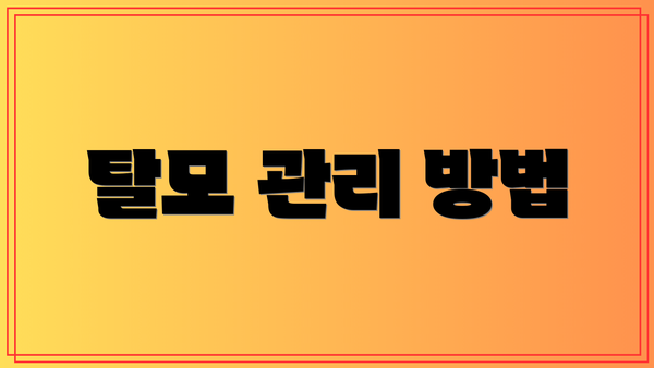 탈모 관리 방법