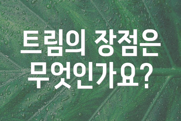 트림의 장점은 무엇인가요?