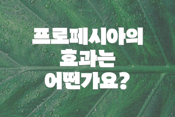 프로페시아의 효과는 어떤가요?