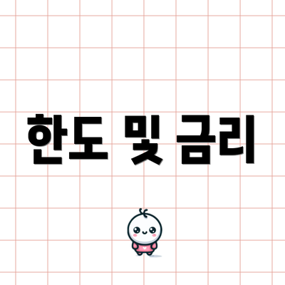 한도 및 금리