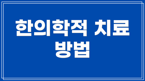 한의학적 치료 방법