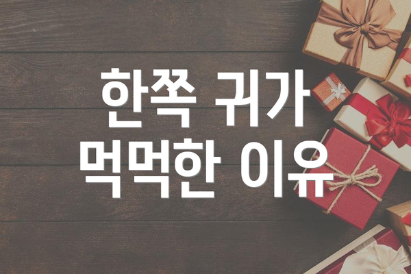 한쪽 귀가 먹먹한 이유