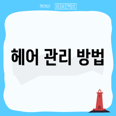 헤어 관리 방법
